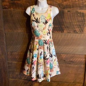 She + Sky Floral Fit-and-Flare Dress in Cream with Teal & Pink